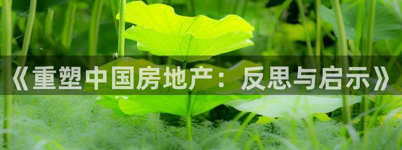 新宝5下载 迅雷下载：《重塑中国房地产：反思与启示》