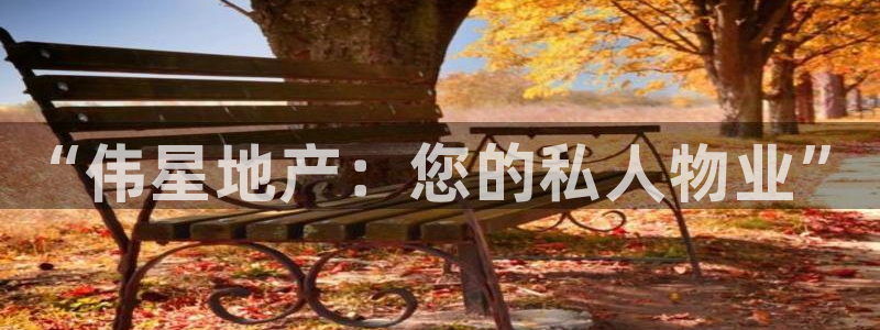 新宝 5测速：“伟星地产：您的私人物业”