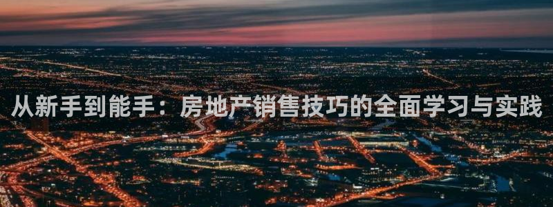 新宝h2O5O5O：从新手到能手：房地产销售技巧的全面学习与