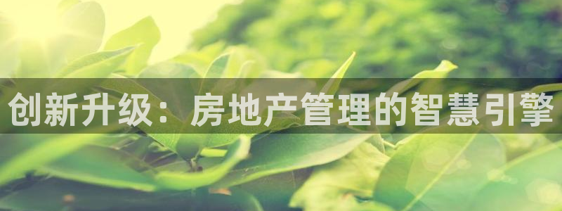 新宝5导师：创新升级：房地产管理的智慧引擎