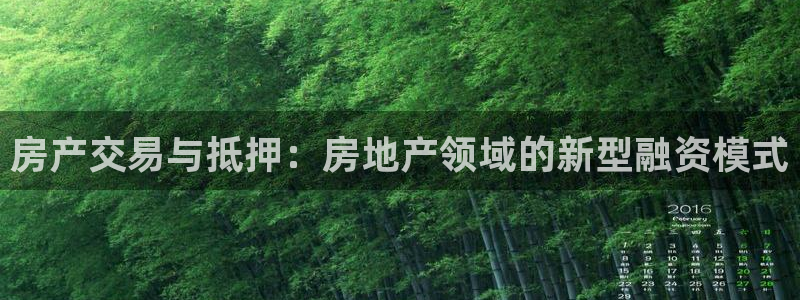 新宝5娱乐如：房产交易与抵押：房地产领域的新型融资模式