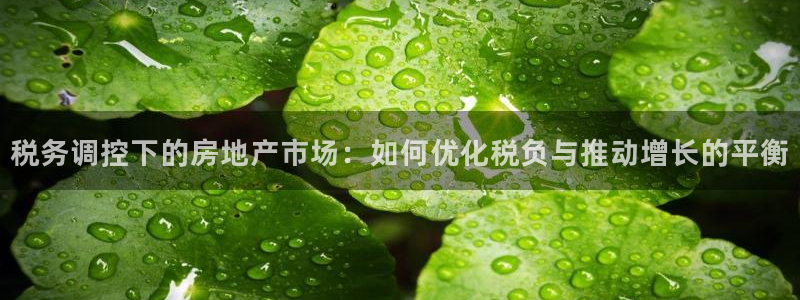 新宝5娱乐没：税务调控下的房地产市场：如何优化税负与推动增长