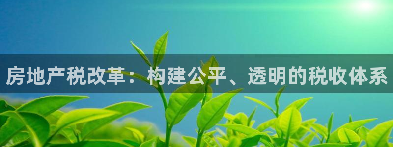 新宝5招商222111：房地产税改革：构建公平、透明的税收体