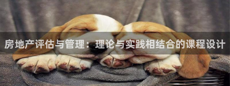 新宝5湫333 00：房地产评估与管理：理论与实践相结合的课