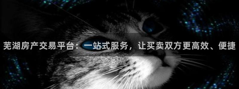 新宝5娱乐如