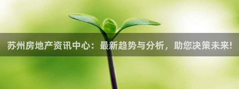 p5r新宝魔：苏州房地产资讯中心：最新趋势与分析，助您决策未