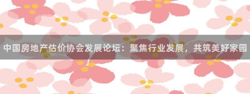 新宝5娱乐登录：中国房地产估价协会发展论坛：聚焦行业发展，共