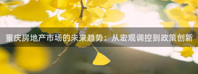 新宝5手机登录：重庆房地产市场的未来趋势：从宏观调控到政策创