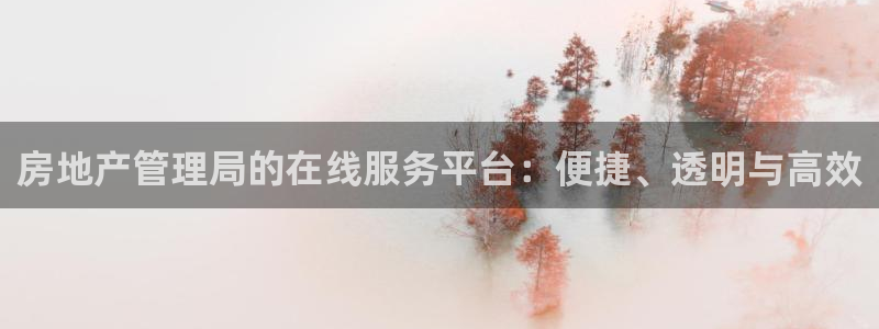 新宝gg5：房地产管理局的在线服务平台：便捷、透明与高效