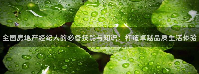 新宝5娱乐没：全国房地产经纪人的必备技能与知识：打造卓越品质