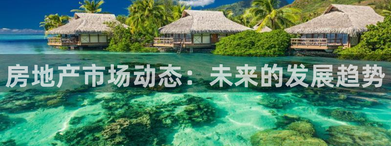 新宝5下载注册：房地产市场动态：未来的发展趋势