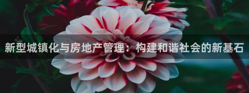 新5宝：新型城镇化与房地产管理：构建和谐社会的新基石