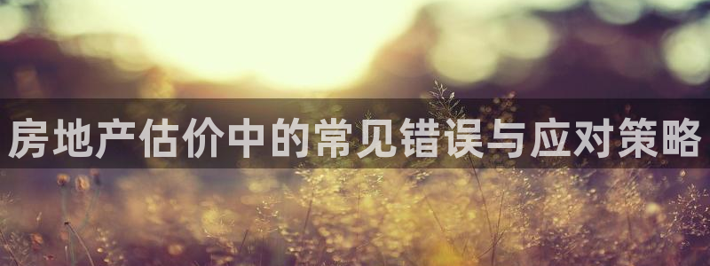 新宝5怎么代理：房地产估价中的常见错误与应对策略