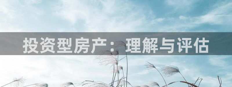 新宝5线路：投资型房产：理解与评估