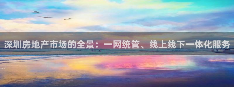 新宝5线路登录检测：深圳房地产市场的全景：一网统管、线上线下