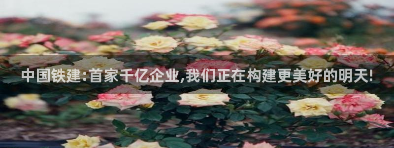 新宝5平台注册：中国铁建:首家千亿企业,我们正在构建更美好的