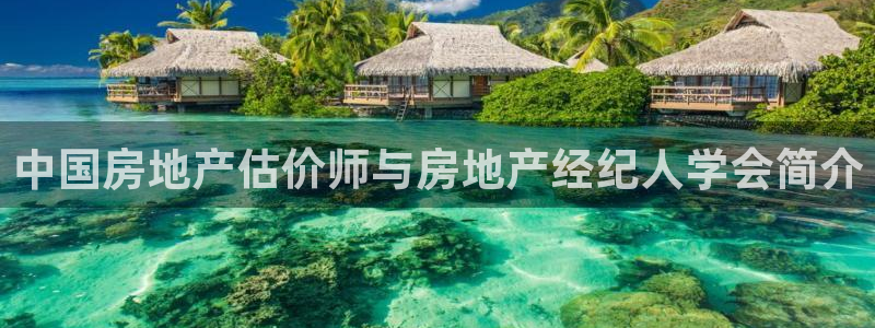 新宝5娱乐经