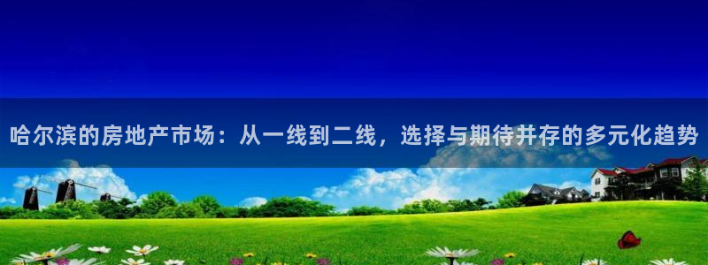 新宝5平台霸