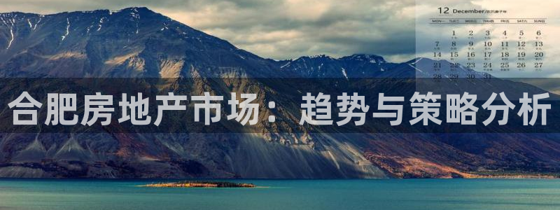 有人知道新宝5么：合肥房地产市场：趋势与策略分析