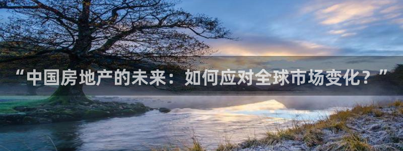 新宝5注册流程：“中国房地产的未来：如何应对全球市场变化？”