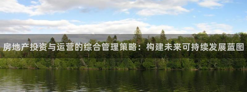 新宝5湫333 00：房地产投资与运营的综合管理策略：构建未
