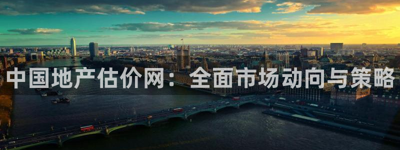 新宝3得74OO5：中国地产估价网：全面市场动向与策略