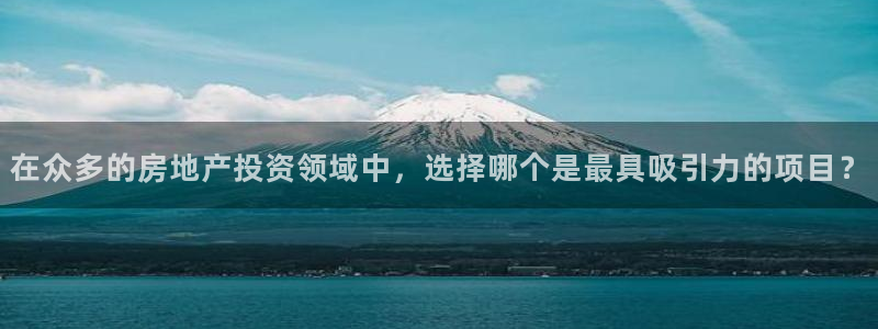 新宝集团新宝5：在众多的房地产投资领域中，选择哪个是最具吸引