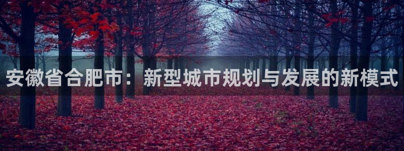新宝3得74OO5：安徽省合肥市：新型城市规划与发展的新模式