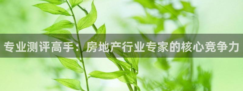 新宝5官网平台：专业测评高手：房地产行业专家的核心竞争力