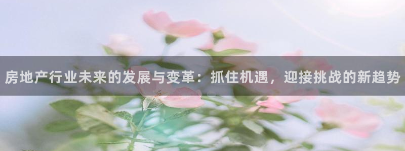 新宝5测：房地产行业未来的发展与变革：抓住机遇，迎接挑战的新