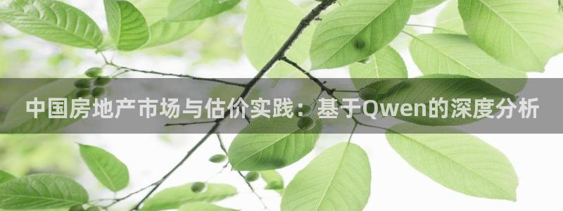 新宝5得74OOO5：中国房地产市场与估价实践：基于Qwen