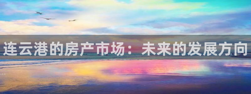 新宝5电脑：连云港的房产市场：未来的发展方向