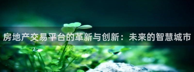 新宝5如何下载
