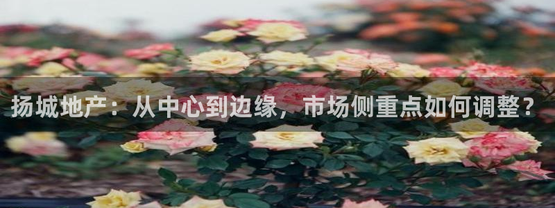 新宝5天：扬城地产：从中心到边缘，市场侧重点如何调整？