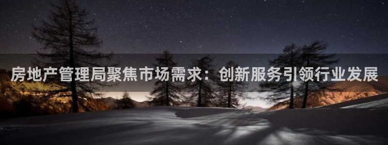 新宝堂新会陈皮5年：房地产管理局聚焦市场需求：创新服务引领行
