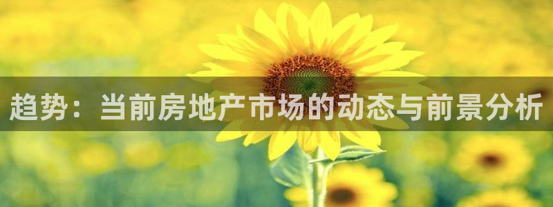 新宝5官方下载地址：趋势：当前房地产市场的动态与前景分析