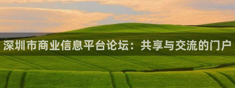 新宝5娱乐登录：深圳市商业信息平台论坛：共享与交流的门户