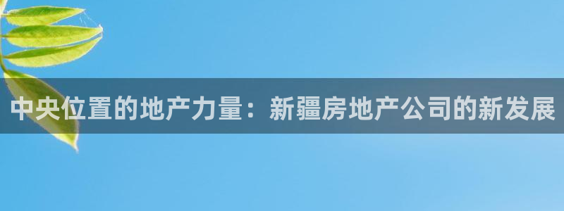 新宝5系列：中央位置的地产力量：新疆房地产公司的新发展