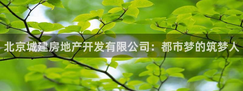 新宝5手机版：北京城建房地产开发有限公司：都市梦的筑梦人
