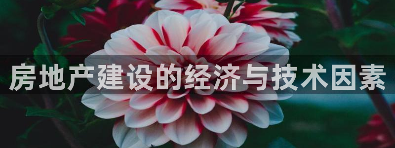 新宝骏rc5W：房地产建设的经济与技术因素