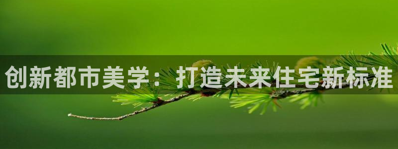 股票5G宝新：创新都市美学：打造未来住宅新标准