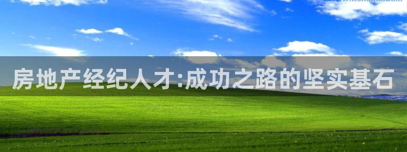 新宝5是什么样子的：房地产经纪人才:成功之路的坚实基石