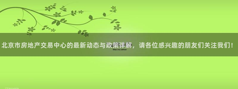 新宝5注册流程：北京市房地产交易中心的最新动态与政策详解，请