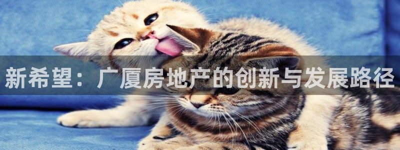 新宝5月：新希望：广厦房地产的创新与发展路径