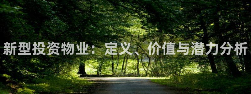 新宝5招商部：新型投资物业：定义、价值与潜力分析