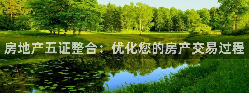 新宝5注册测速登录：房地产五证整合：优化您的房产交易过程
