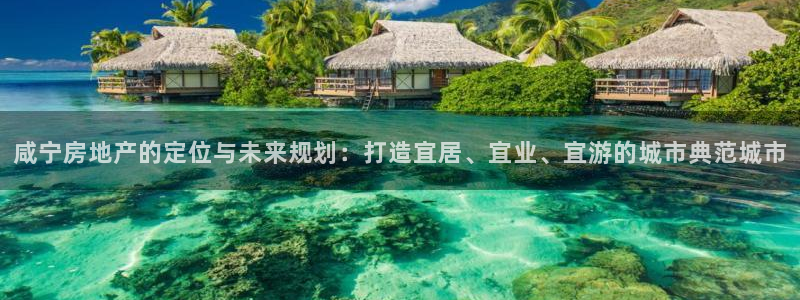新宝5登陆：咸宁房地产的定位与未来规划：打造宜居、宜业、宜游