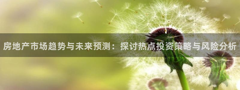 新宝5日：房地产市场趋势与未来预测：探讨热点投资策略与风险分