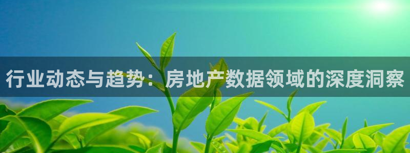 新宝测速5：行业动态与趋势：房地产数据领域的深度洞察