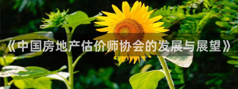 5新宝：《中国房地产估价师协会的发展与展望》